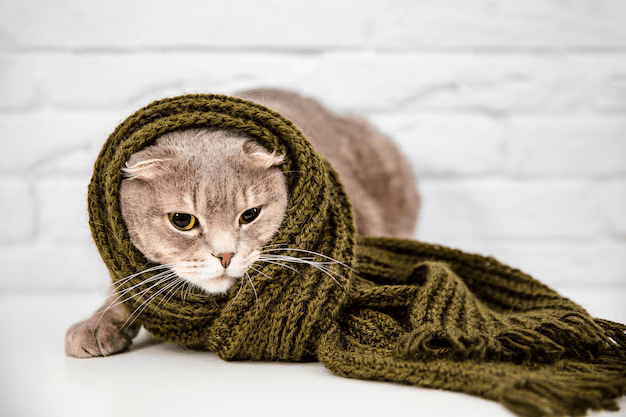 close-up-cute-cat-green-scarf_23-2148348116